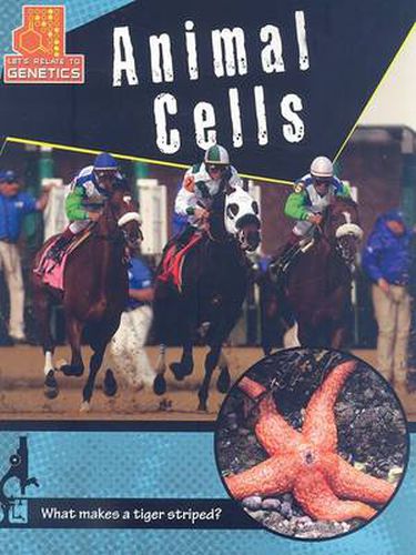 Cover image for Animal Cells