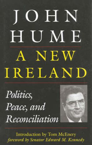 Cover image for A New Ireland: Politics, Peace, and Reconciliation