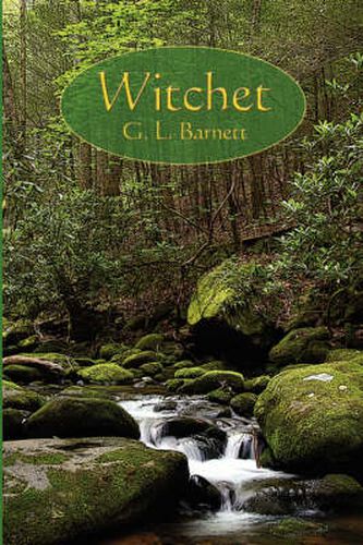 Cover image for Witchet