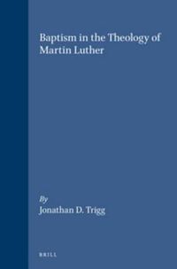 Cover image for Baptism in the Theology of Martin Luther