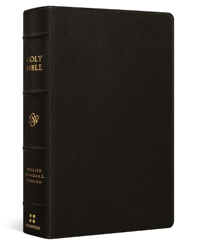 Cover image for ESV Giant Print Personal Size Bible, Red Letter