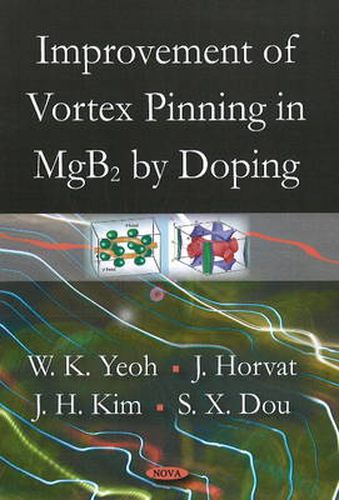 Cover image for Improvement of Vortex Pinning in MgB2 by Doping