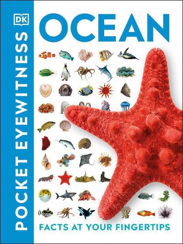 Ocean: Facts at Your Fingertips