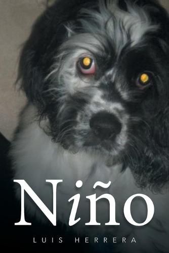 Cover image for Nino