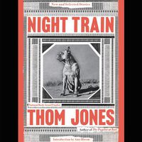Cover image for Night Train: New and Selected Stories