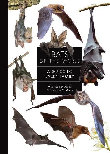 Cover image for Bats of the World