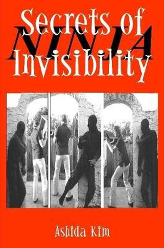 Cover image for Secrets of Invisibility