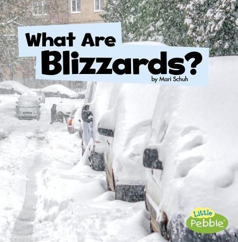 Cover image for What are Blizzards? (Wicked Weather)