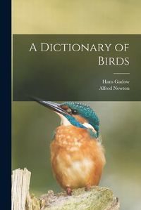 Cover image for A Dictionary of Birds