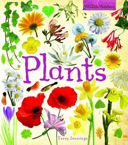 Cover image for Plants