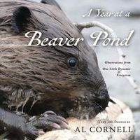 Cover image for A Year at a Beaver Pond