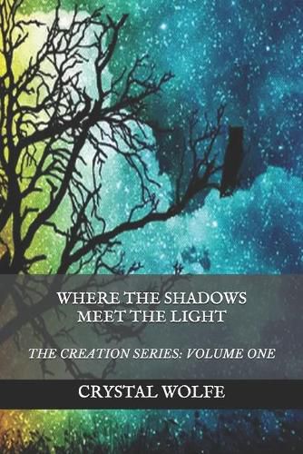 Cover image for Where the Shadows Meet the Light