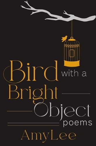 Cover image for Bird with a Bright Object