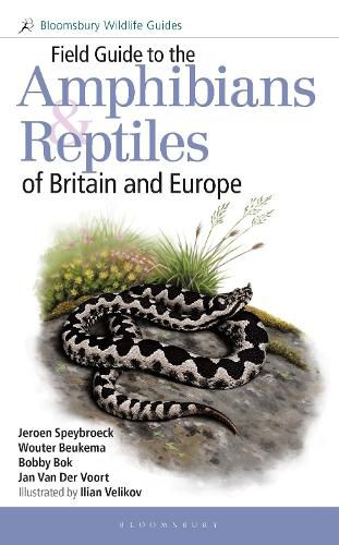 Cover image for Field Guide to the Amphibians and Reptiles of Britain and Europe