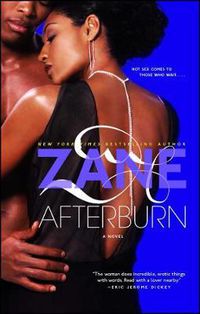 Cover image for Afterburn: A Novel