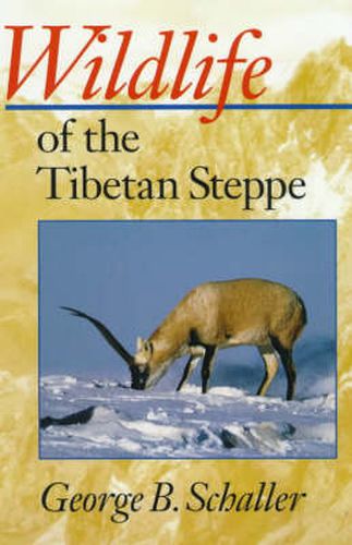 Cover image for Wildlife of the Tibetan Steppe