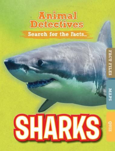 Cover image for Sharks