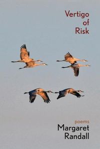 Cover image for Vertigo of Risk