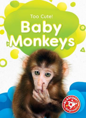 Cover image for Baby Monkeys