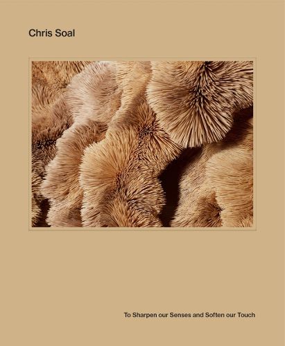 Cover image for Chris Soal