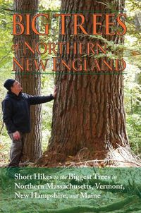 Cover image for Big Trees of Northern New England