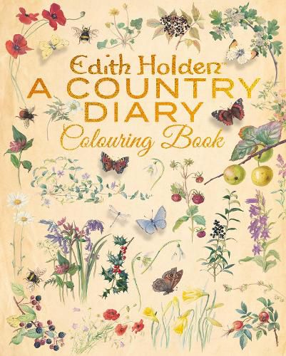 Cover image for Edith Holden: A Country Diary Colouring Book