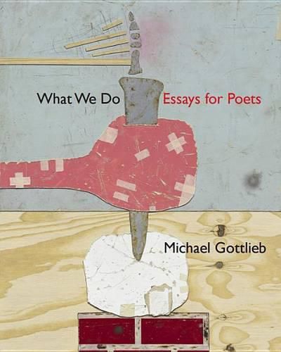 Cover image for What We Do: Essays for Poets