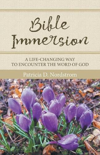 Bible Immersion: A Life-Changing Way to Encounter the Word of God