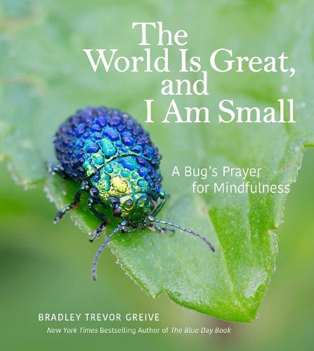 Cover image for The World Is Great, and I Am Small: A Bug's Prayer for Mindfulness