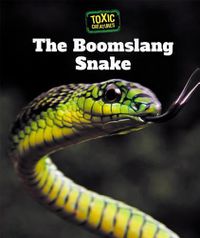 Cover image for The Boomslang Snake