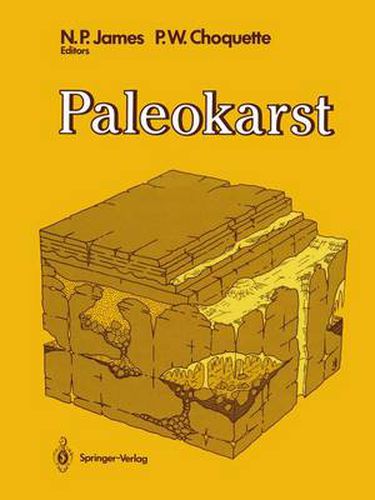 Cover image for Paleokarst