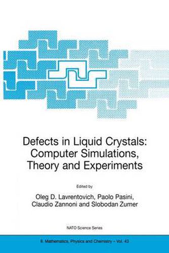 Cover image for Defects in Liquid Crystals: Computer Simulations, Theory and Experiments