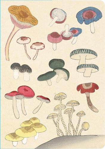 Cover image for Healing Mushrooms Paperback Journal: Lined: Notebook with Pocket