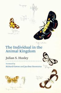 Cover image for The Individual in the Animal Kingdom