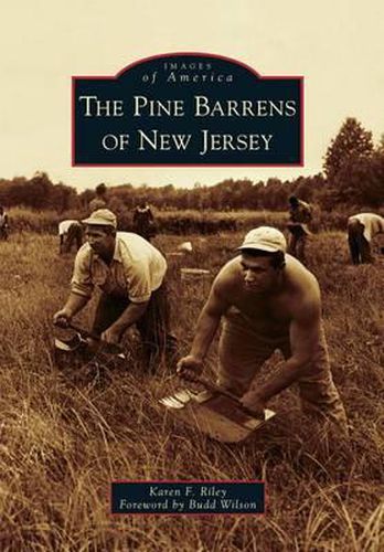 Cover image for The Pine Barrens of New Jersey