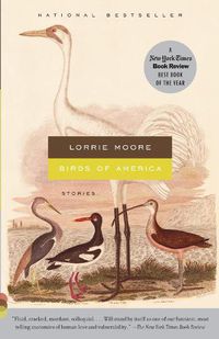 Cover image for Birds of America: Stories
