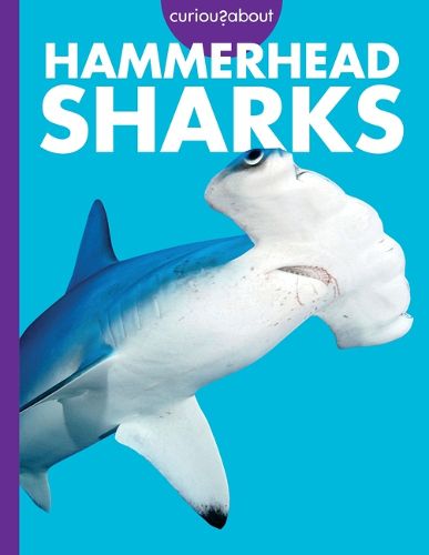 Cover image for Curious about Hammerhead Sharks