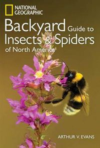 Cover image for NG Guide to the Insects and Spiders of North America