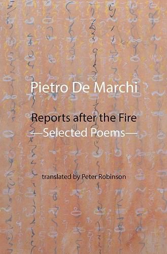 Cover image for Reports after the Fire: Selected Poems