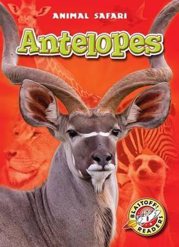 Cover image for Antelopes