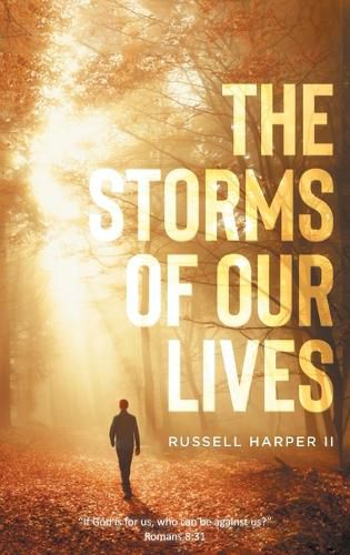 Cover image for The Storms of our Lives