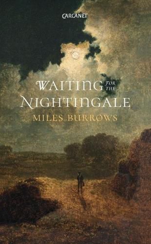 Cover image for Waiting for the Nightingale