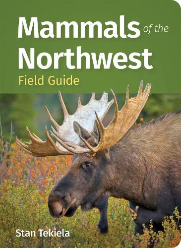 Cover image for Mammals of the Northwest Field Guide