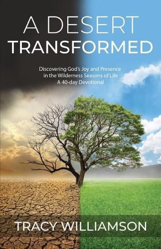 Cover image for A Desert Transformed: Discovering God's Joy and Presence in the Wilderness Seasons of Life - a 40-Day Devotional