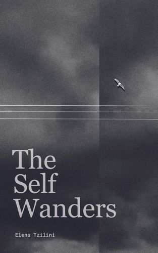 Cover image for The Self Wanders