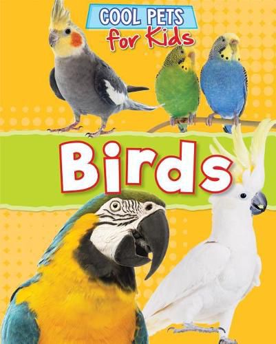 Cover image for Birds