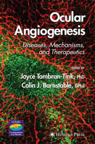 Cover image for Ocular Angiogenesis: Diseases, Mechanisms, and Therapeutics