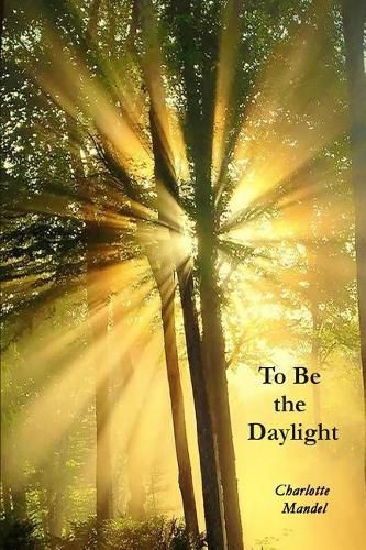 Cover image for To Be the Daylight