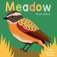 Cover image for Now you See It! Meadow