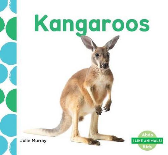 Cover image for Kangaroos